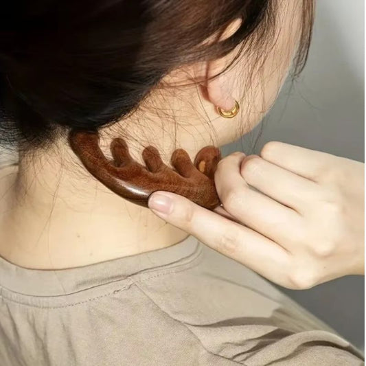 Peigne Masseur Crânien Bois Massif Gua Sha Cuir Chevelu Anti-Stress